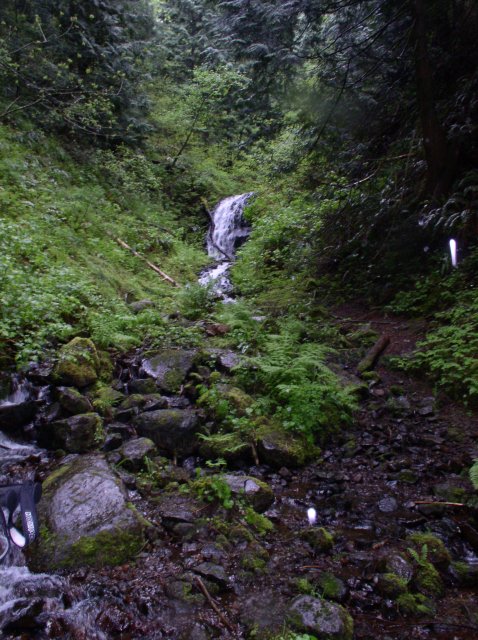 5.7.06 Wauna Point 007 